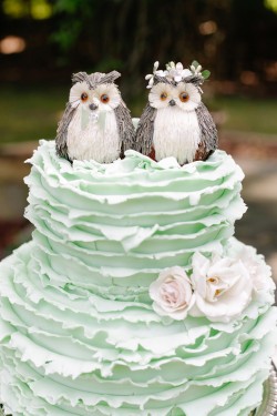 Wedding cakes owl topper