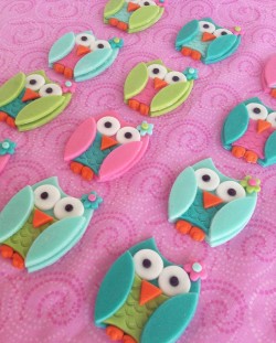 Awesome owl cupcake’s toppers