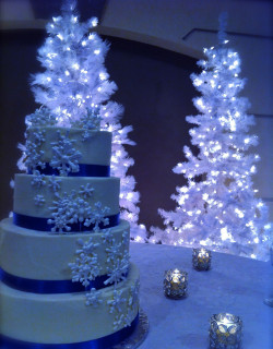 Amazing winter Wedding cake