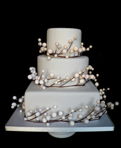 Beautiful winter Wedding cake