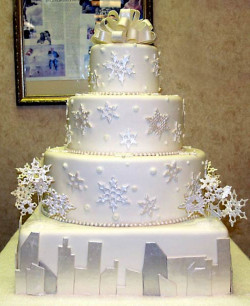 Cute winter Wedding cake