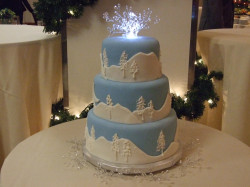 Winter Wedding cake