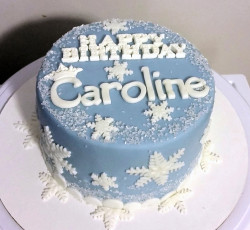 Winter birthday cake for Caroline