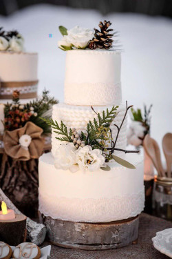 Winter wedding cakes