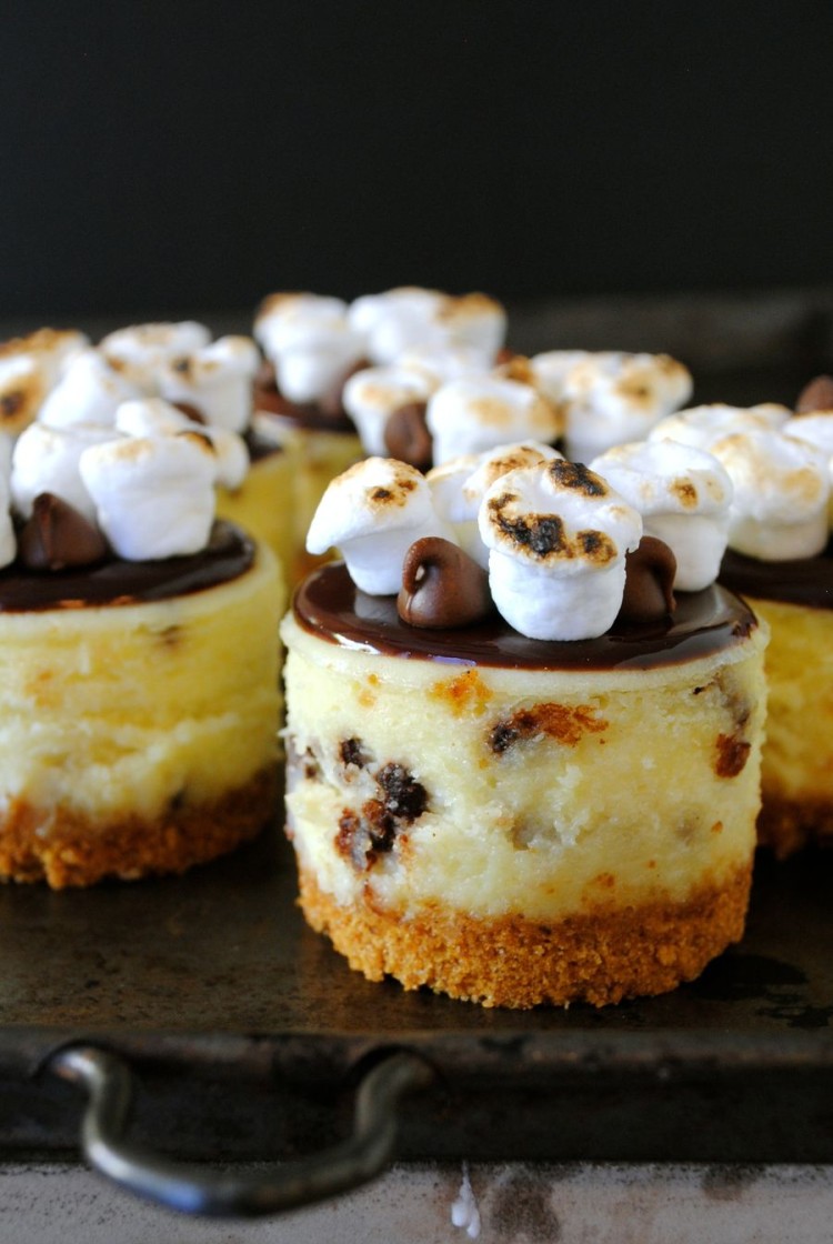 Tasty mini cheese cake