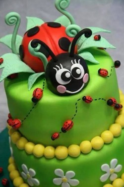 Cake – Lady Bug